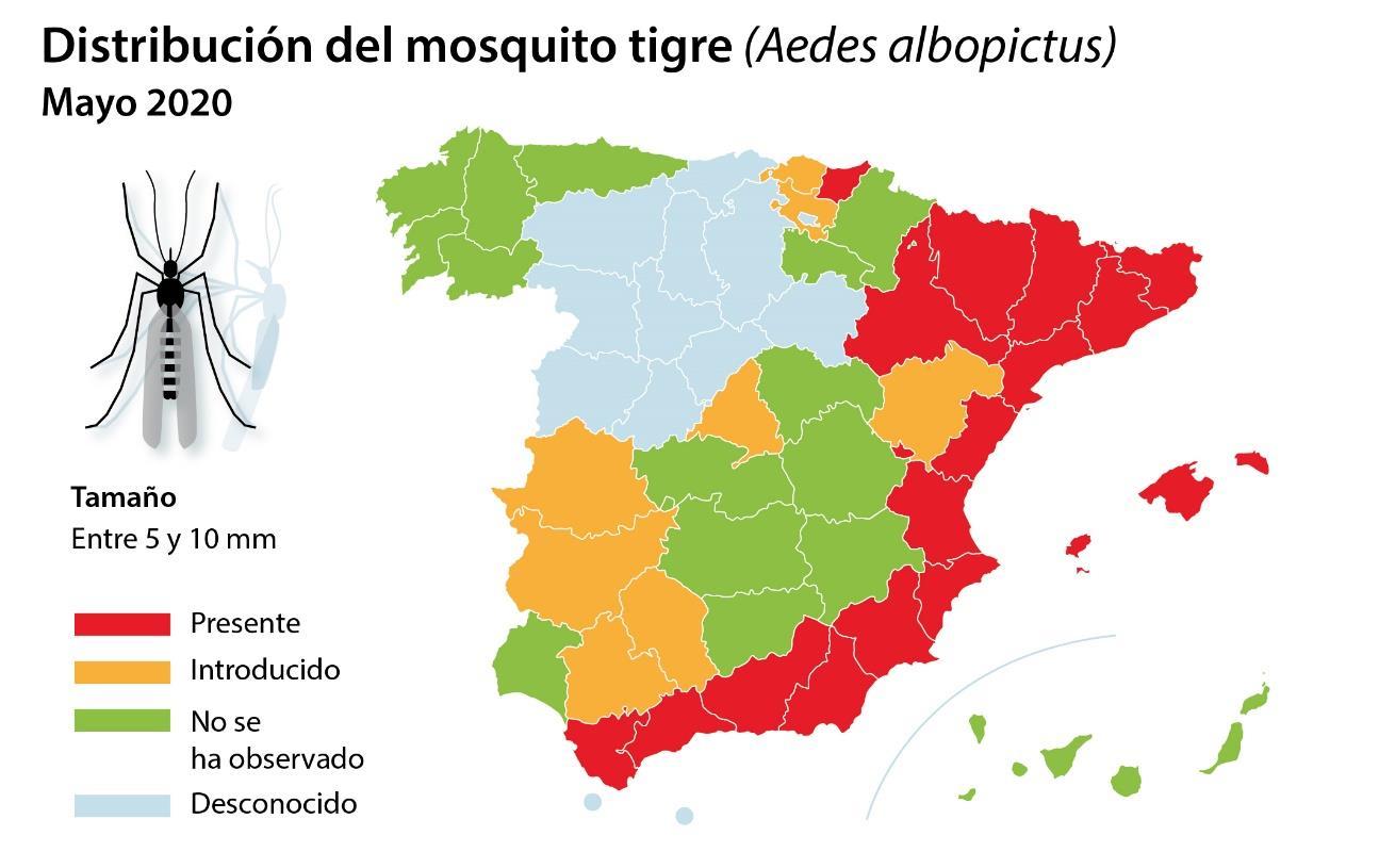 Zonas donde se desarrolla el mosquito tigre